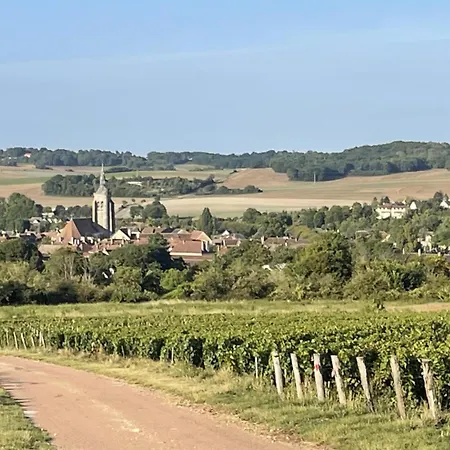 Chez Leontine Ferienhaus Villenauxe
